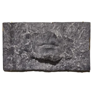 Vaietut 11
